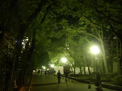夜の東地区大通り