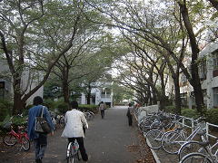 朝の西９号館前の道