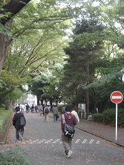 体育館前の通り